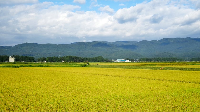Farmland of Seibu Kaihatsu Nosan Co., Ltd.