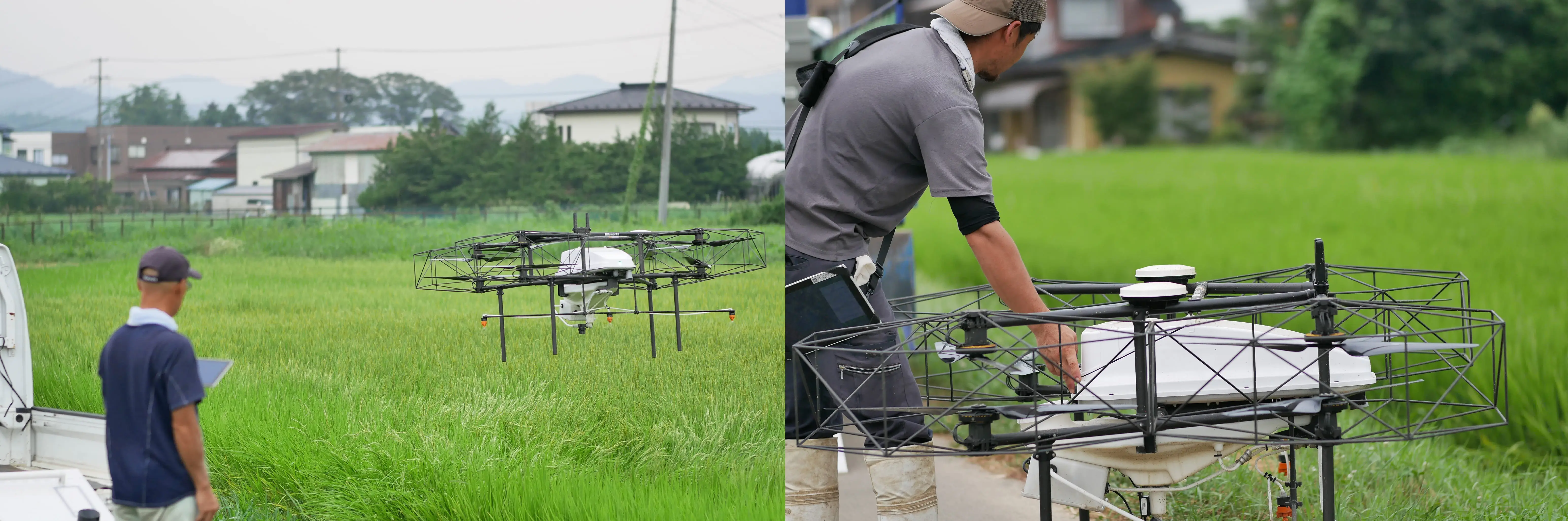 自動飛行ドローンによる水稲防除／生産者への導入が加速