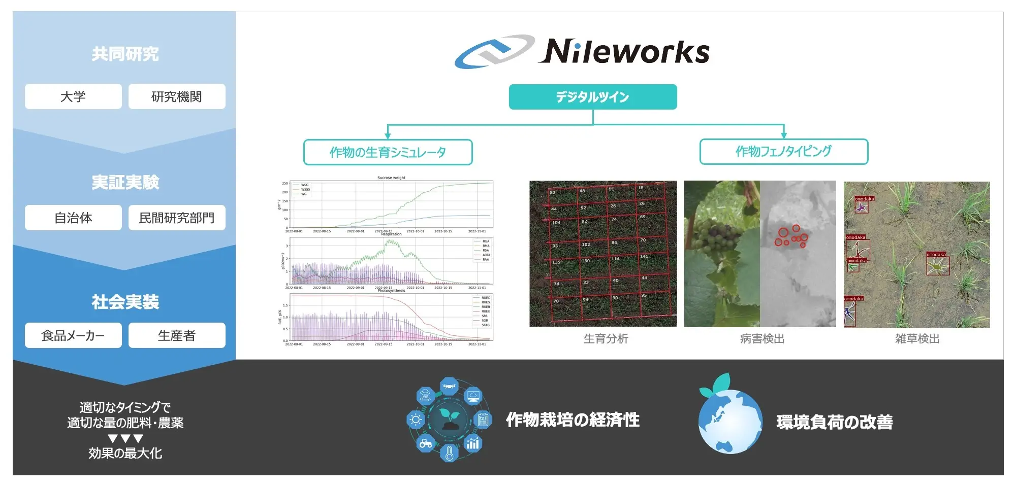 ナイルワークスの事業説明