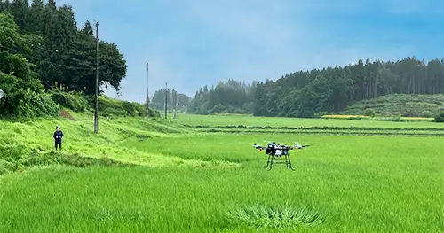 圃場でのドローン飛行