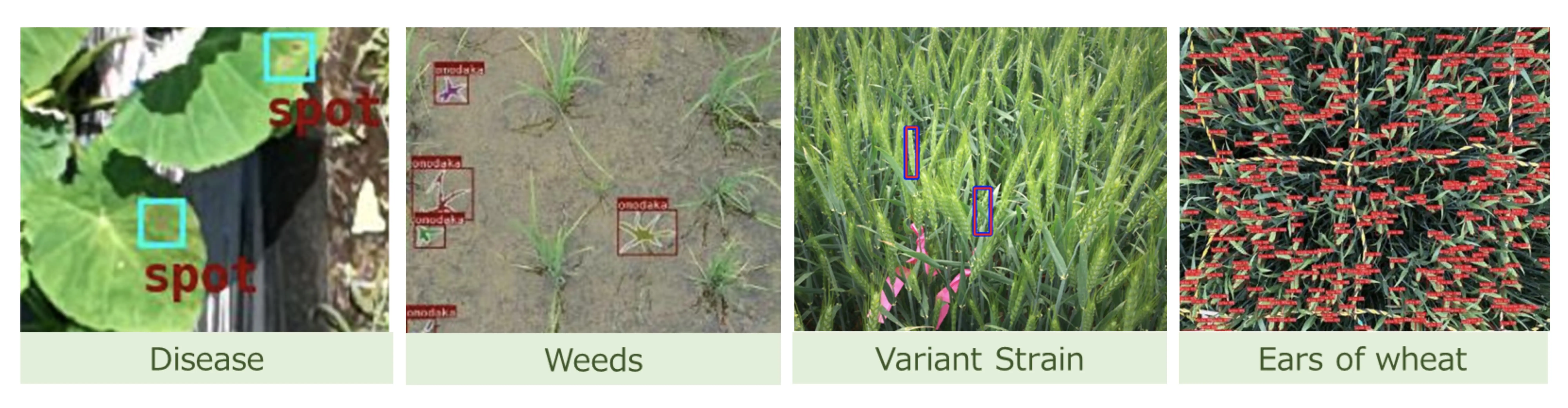 AI capable of Detecting Various Crops and Anomalies