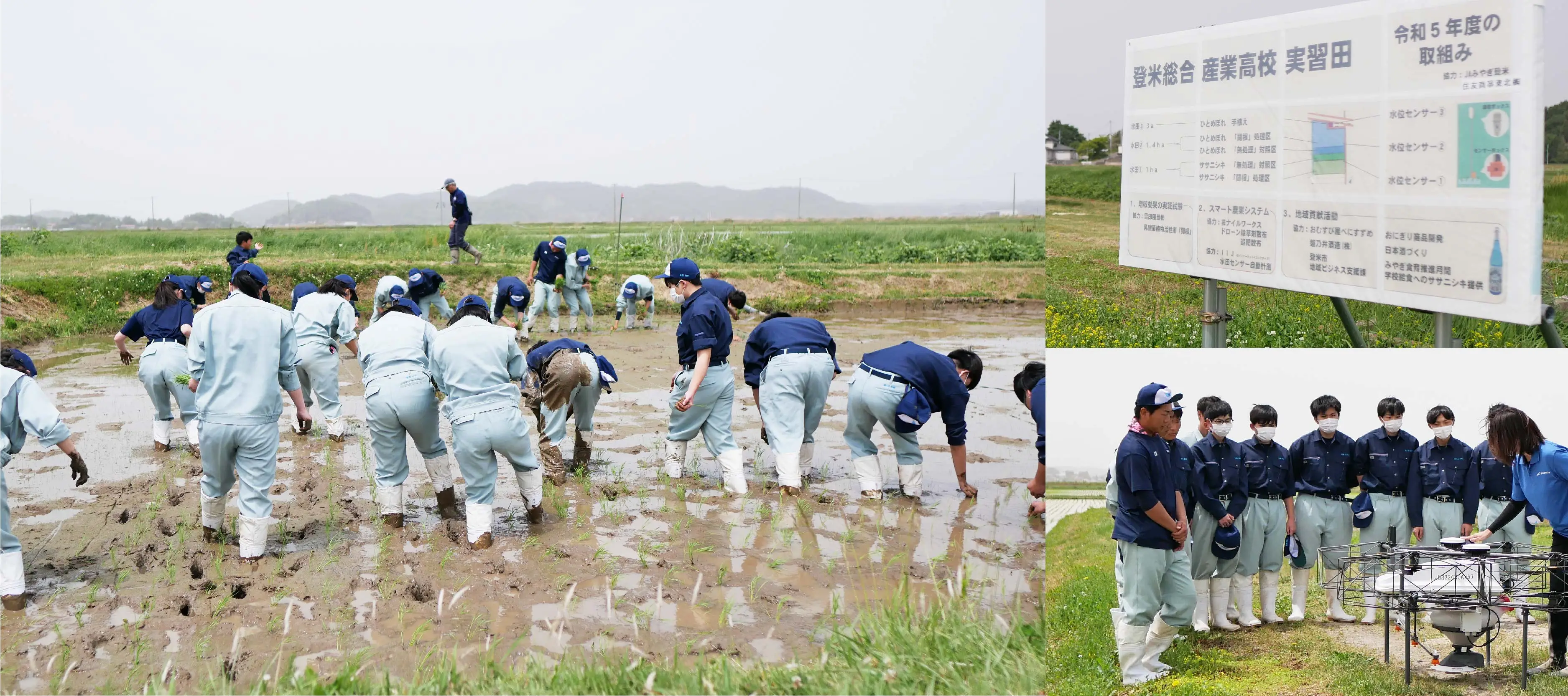 田植え体験とドローン実演を見学する高校生