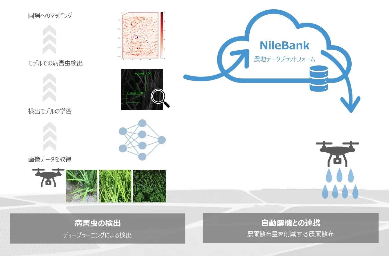 NileBank活用イメージ