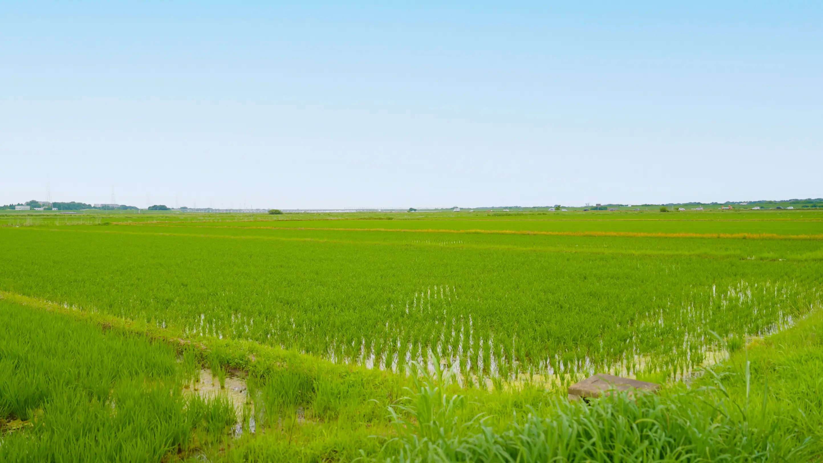 田園風景