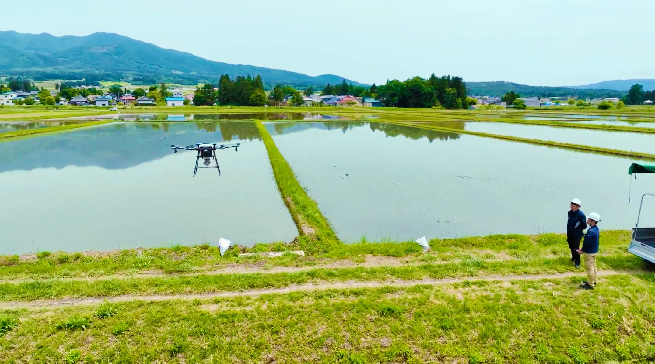 Drone flying over rice paddies