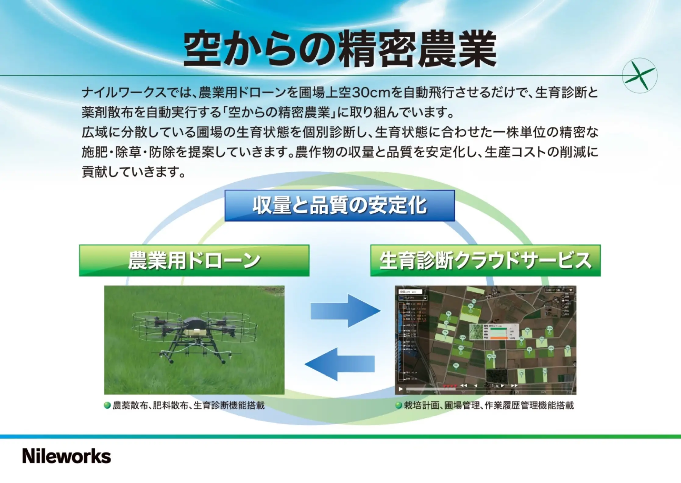 ナイルワークスの事業説明