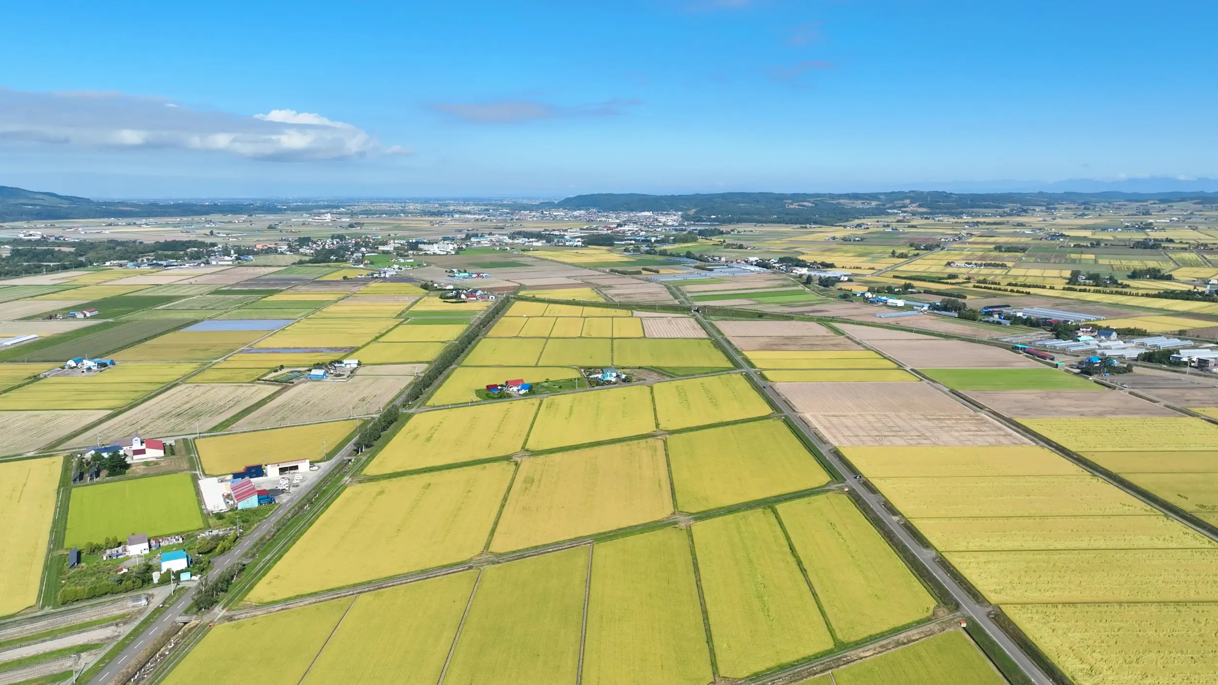 北海道の広大な大地の写真