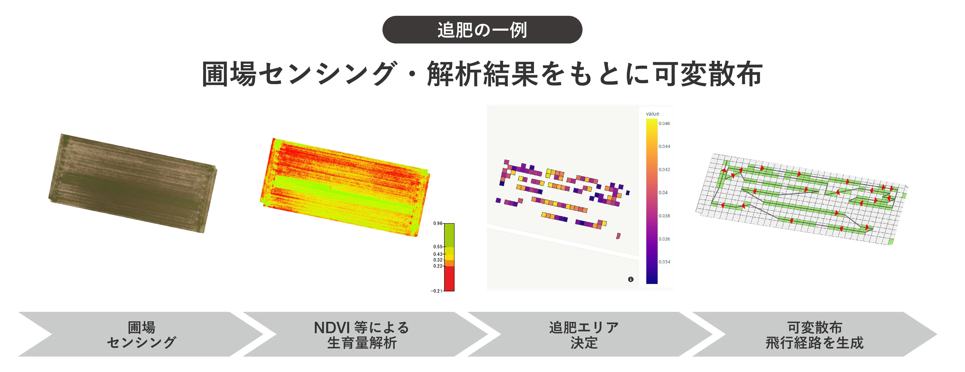 追肥の一例